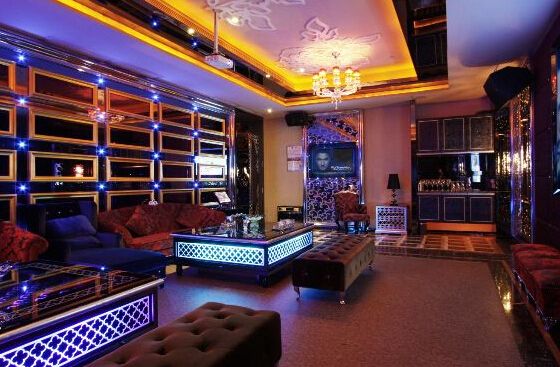 �ʘ�(l��)���gչʾ