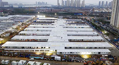 �t(y��)�����gչʾ