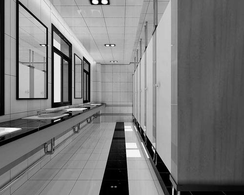 �������gչʾ